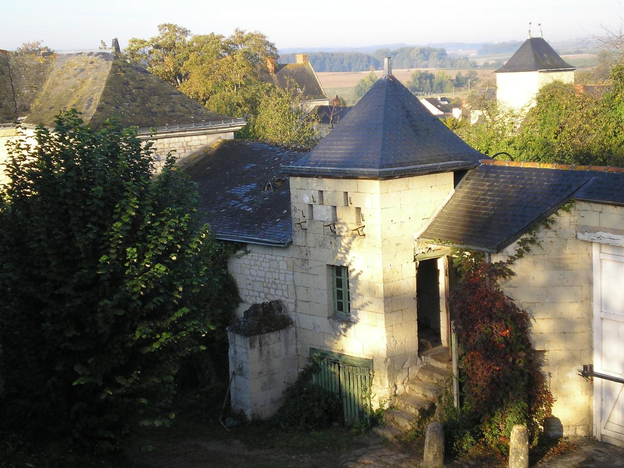 Bed and Breakfast Manoir De Boisairault Le Coudray-Macouard Exterior foto