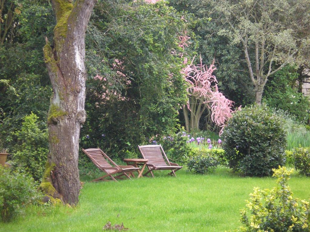 Bed and Breakfast Manoir De Boisairault Le Coudray-Macouard Exterior foto
