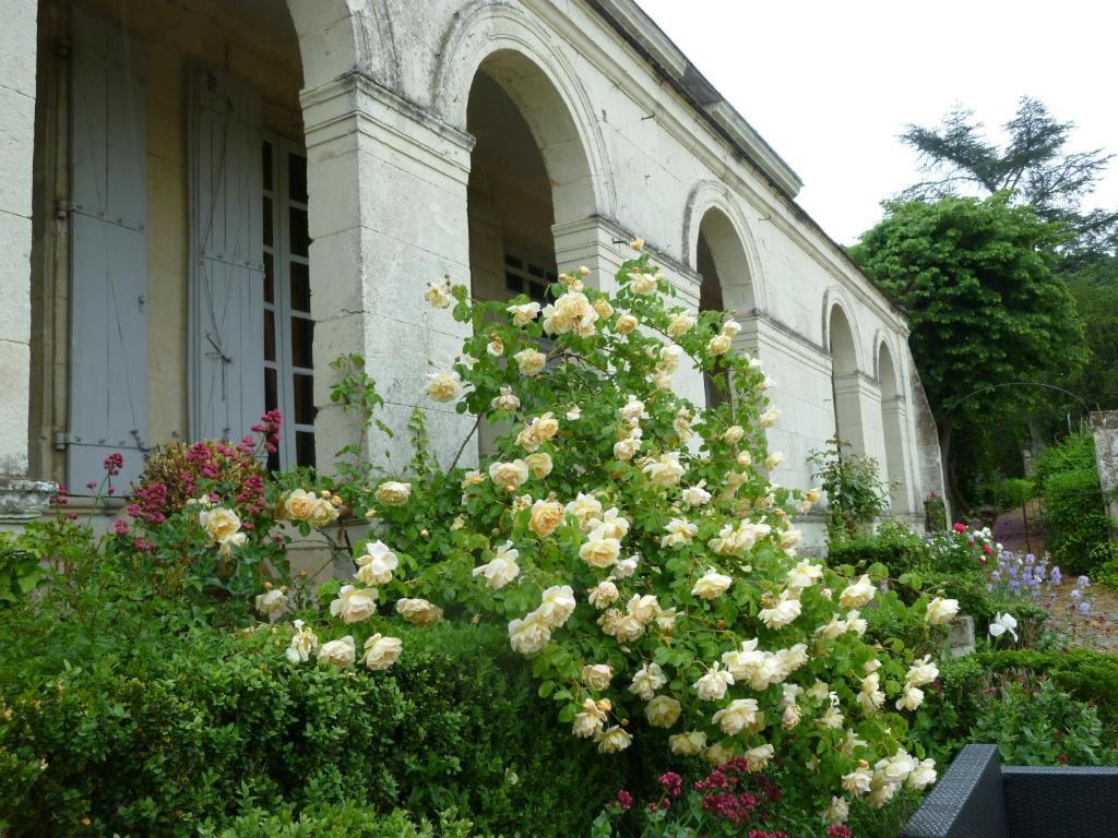 Bed and Breakfast Manoir De Boisairault Le Coudray-Macouard Exterior foto