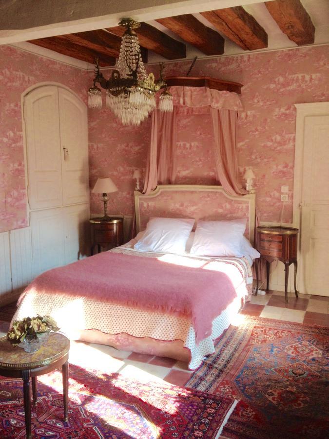 Bed and Breakfast Manoir De Boisairault Le Coudray-Macouard Exterior foto